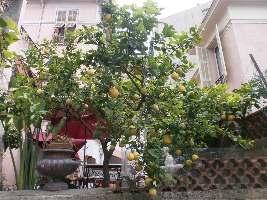 Villa Saphir Nizza Kültér fotó